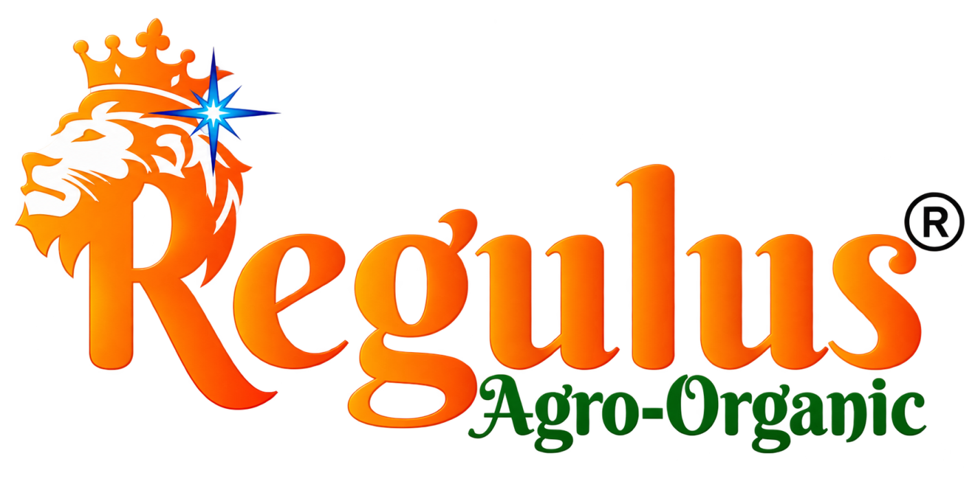 logo-img