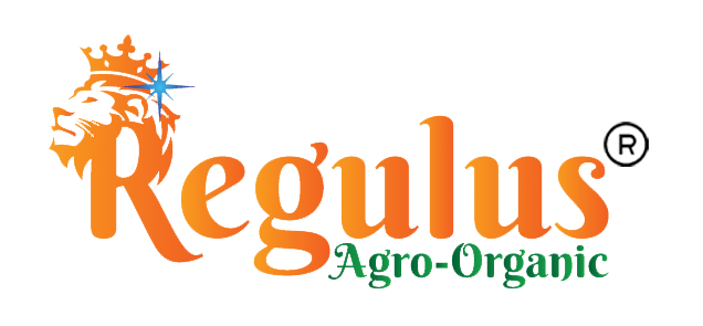 RegulusHub